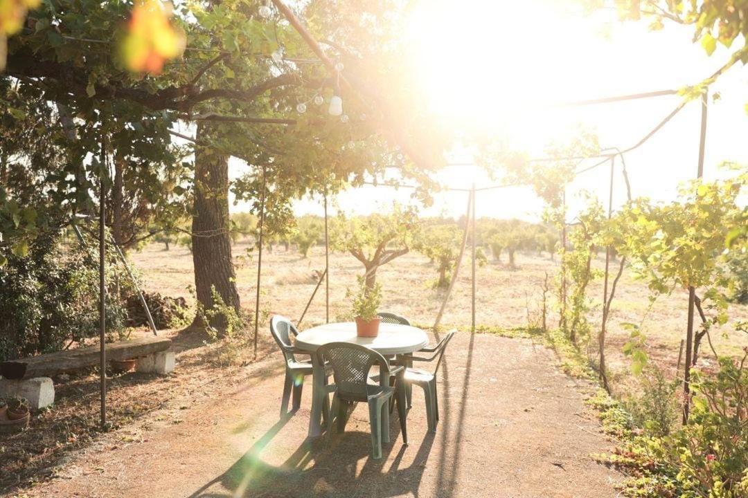 Casa In Campagna ⋅ Forimia Villa ซานวีโต เดย์ นอร์มานนี ภายนอก รูปภาพ